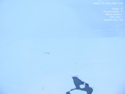 Luční bouda, pramen Bílého Labe