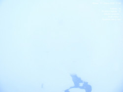 Luční bouda, pramen Bílého Labe