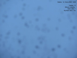 Luční bouda, pramen Bílého Labe