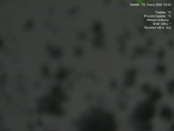 Luční bouda, pramen Bílého Labe