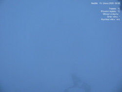 Luční bouda, pramen Bílého Labe