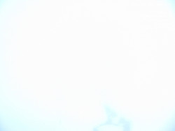 Luční bouda, pramen Bílého Labe