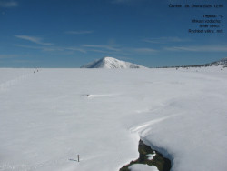 Luční bouda, pramen Bílého Labe