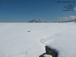 Luční bouda, pramen Bílého Labe