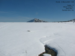Luční bouda, pramen Bílého Labe