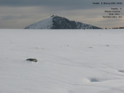 Luční bouda, pramen Bílého Labe