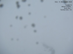 Luční bouda, pramen Bílého Labe