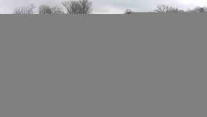 Baťův kanál - Přístav Veselí nad Moravou na Baťově kanále - 16.12.2025 v 12:45