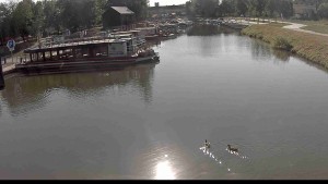 Baťův kanál - Přístav Veselí nad Moravou na Baťově kanále - 31.7.2026 v 08:45 Baťův kanál - Přístav Veselí nad Moravou na Baťově kanále - 31.7.2026 v 08:45