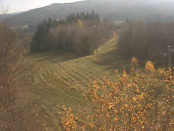 Snímek 7.11.2025 v 11:32