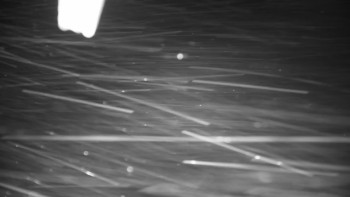 Kleť, Šumavské podhůří