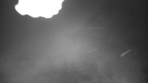 Kleť, Šumavské podhůří - Kleť - 26.1.2026 v 07:15