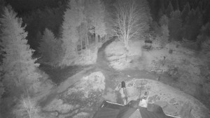 Kleť, Šumavské podhůří - Kleť - 6.3.2026 v 00:45