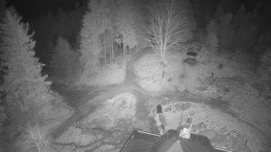 Kleť, Šumavské podhůří - Kleť - 20.3.2026 v 01:45