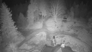 Kleť, Šumavské podhůří - Kleť - 20.3.2026 v 02:45