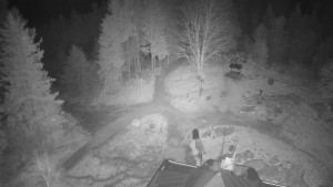 Kleť, Šumavské podhůří - Kleť - 20.3.2026 v 04:45