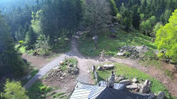 Kleť