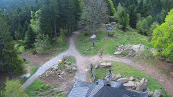 Kleť