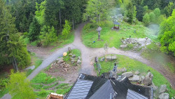 Kleť