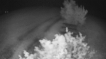 Snímek    11.5.2025 v 03:30
