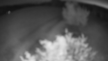Snímek    13.5.2025 v 03:30