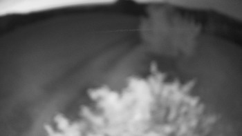 Snímek    13.5.2025 v 21:30