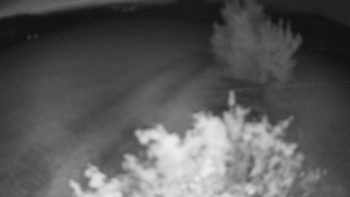 Snímek    13.5.2025 v 22:00