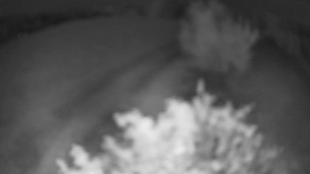 Snímek    14.5.2025 v 03:00