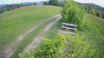 Snímek    14.5.2025 v 06:30