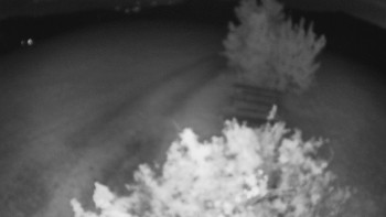 Snímek    14.5.2025 v 22:00