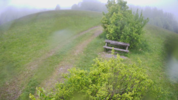 Snímek    15.5.2025 v 11:30