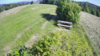 Snímek    1.7.2025 v 09:00