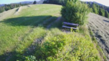 Snímek    3.7.2025 v 06:30