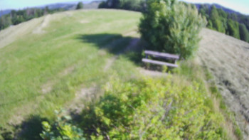 Snímek    3.7.2025 v 08:00