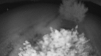 Snímek    13.7.2025 v 03:30