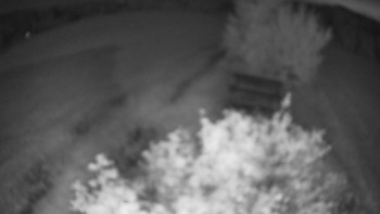Snímek    14.7.2025 v 03:00