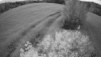 Snímek    14.7.2025 v 21:30