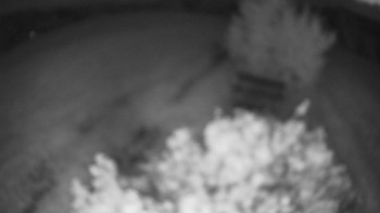 Snímek    16.7.2025 v 03:30