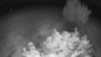 Snímek    2.8.2025 v 03:00