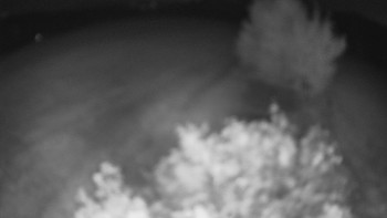 Snímek    18.8.2025 v 03:30