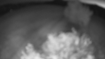 Snímek    19.8.2025 v 04:30