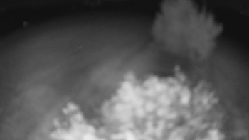 Snímek    20.8.2025 v 01:00