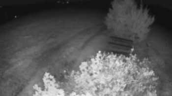 Snímek    24.8.2025 v 03:30