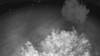 Snímek    26.8.2025 v 22:00