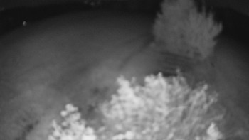 Snímek    1.9.2025 v 22:30