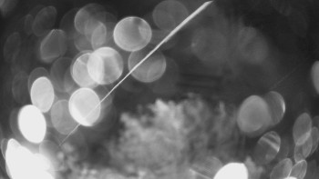 Snímek    10.9.2025 v 22:00