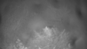Snímek    11.9.2025 v 03:30