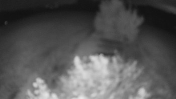 Snímek    12.9.2025 v 23:00