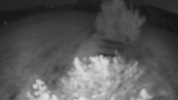 Snímek    13.9.2025 v 03:00