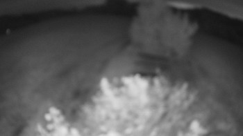 Snímek    13.9.2025 v 05:30